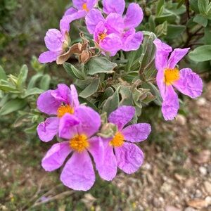 Meet your Posher, Christy